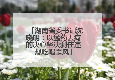 湖南省委书记沈晓明：以猛药去疴的决心坚决刹住违规吃喝歪风
